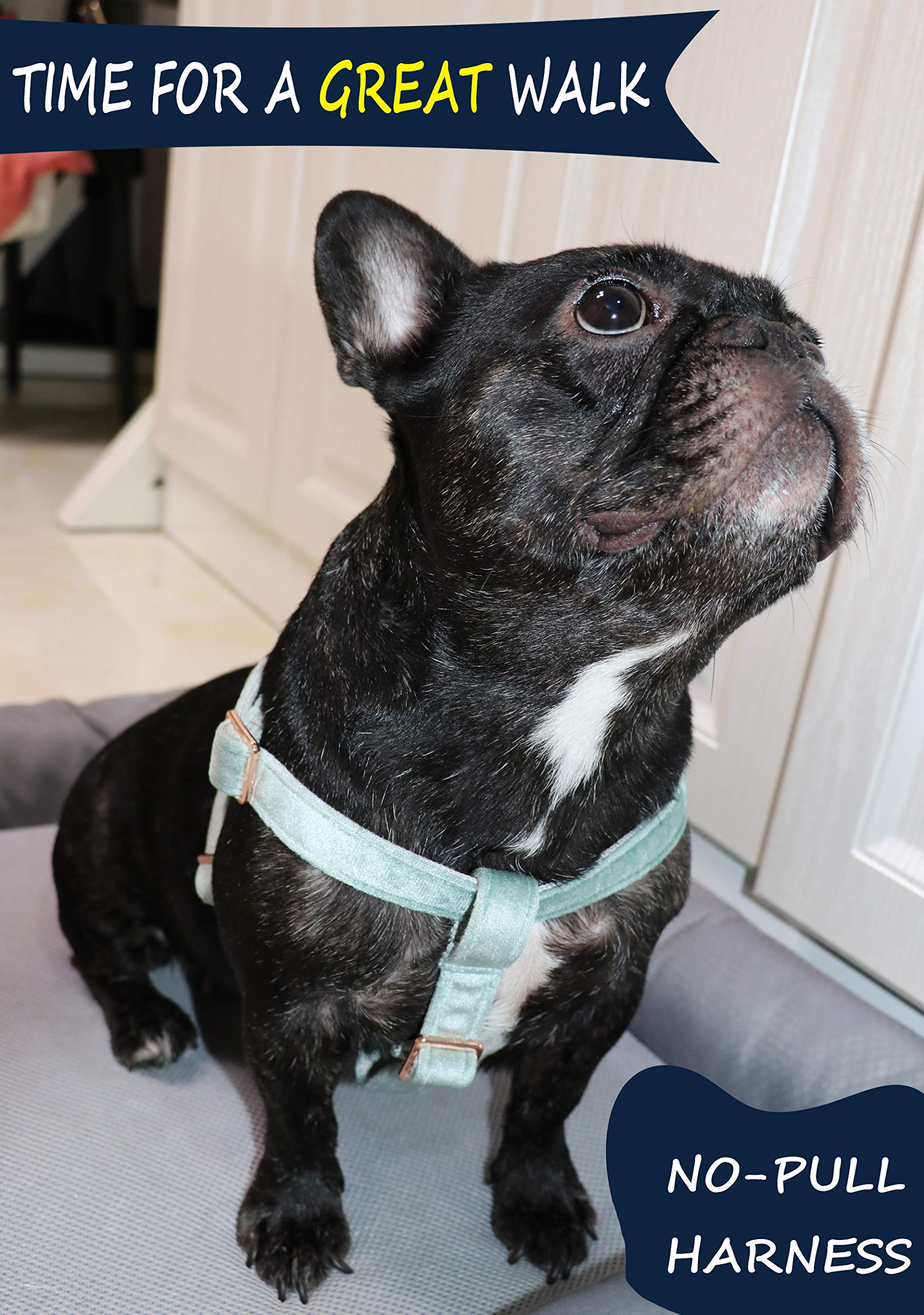 Premium Velvet No-Pull Dog Harness - Adjustable Heavy Duty Pet Halter for Small, Medium & Large Dogs - Perfect for Walking, Training & Outdoor Adventures