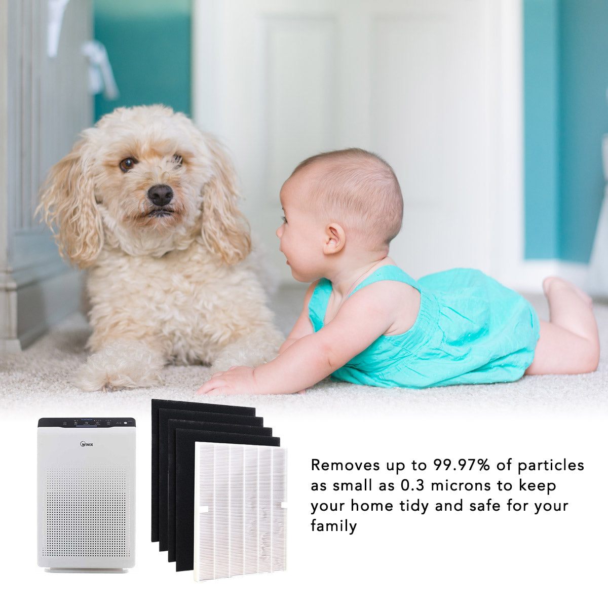 MaximalPower Winix 115115 Replacement Filter A - Compatible with C535, 533-2, P300, 5300 Air Purifiers | HEPA Filter for Clean Air at Home & Office