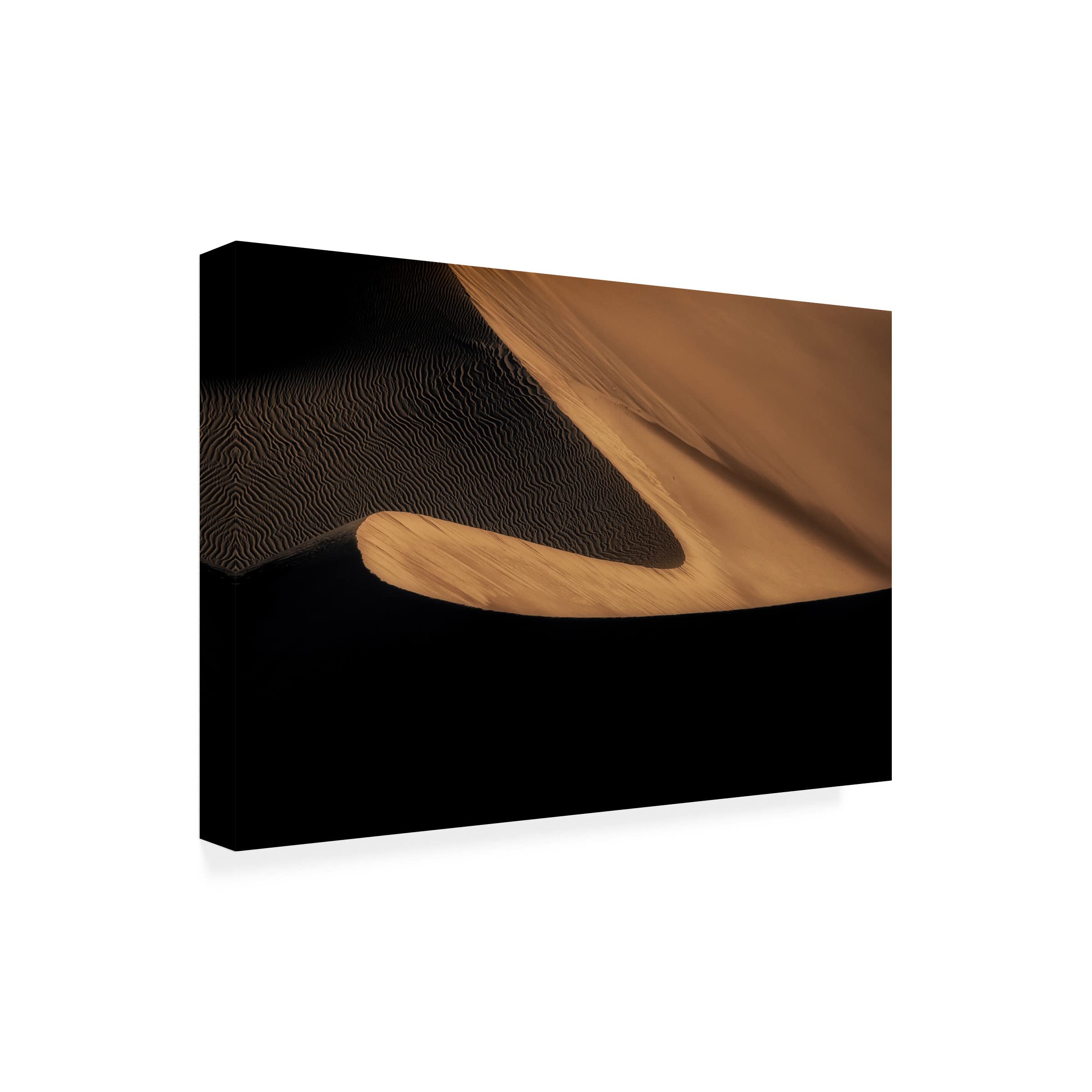 Trademark Fine Art 'Signature' Canvas Painting by Mohammad Shefaa - Handmade Wall Art for Living Room, Bedroom & Office Decor