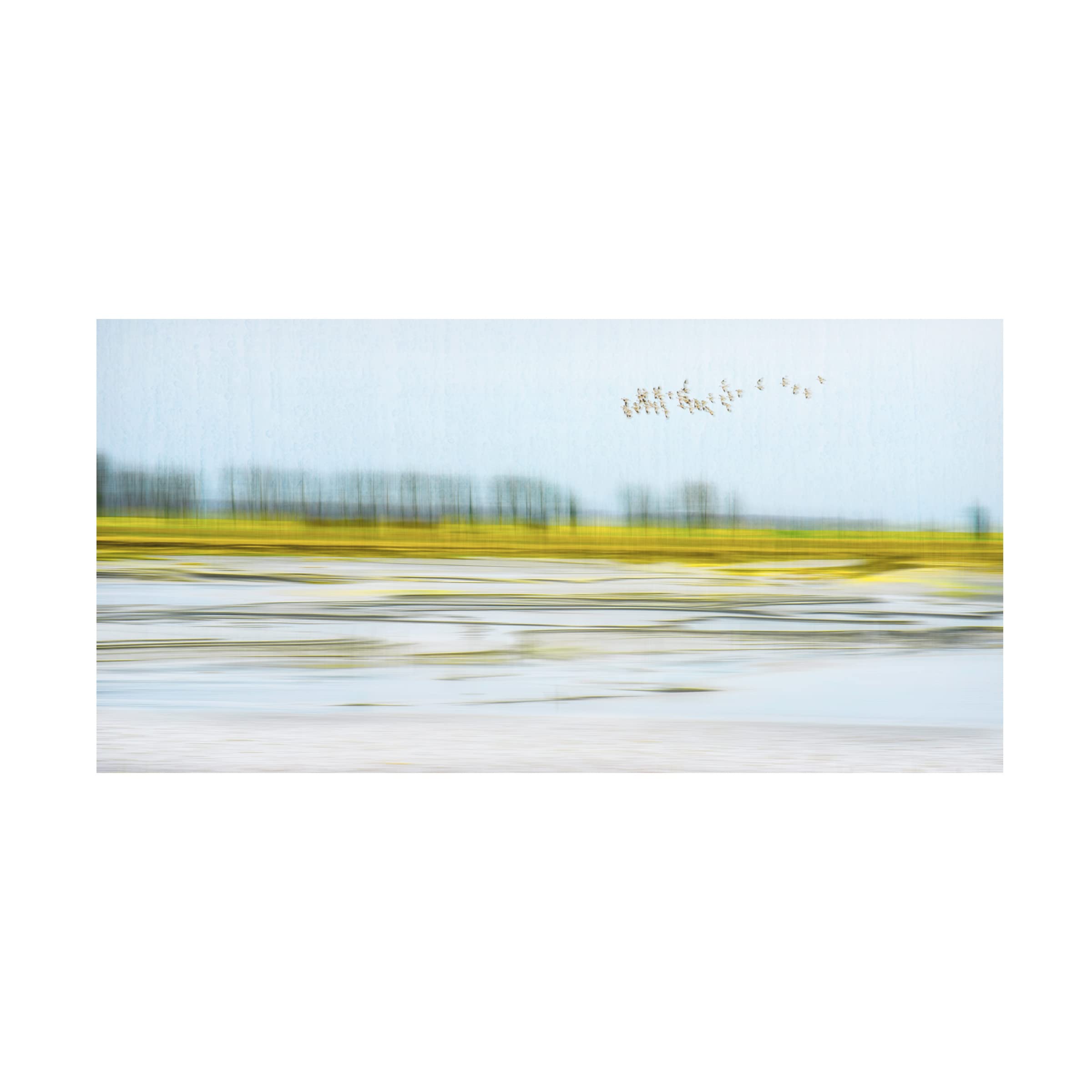 Trademark Fine Art 'Peace' Canvas Wall Art by Mozart Chan - Perfect for Living Room, Bedroom & Office Decor