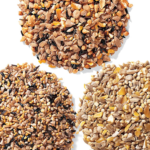 Duncraft No Waste Wild Bird Seed Sampler - 3 Pack | Premium Bird Food for Cardinals, Finches & Bluebirds | Perfect for Backyard Feeders & Wildlife Gardens