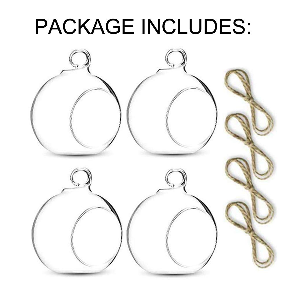 4 Pcs Hanging Glass Terrarium Planters - 4