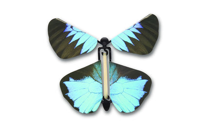 Heebie Jeebies Wind Up Australian Butterflies - Colorful Mechanical Flying Toy for Kids, Party Favors & Home Decor