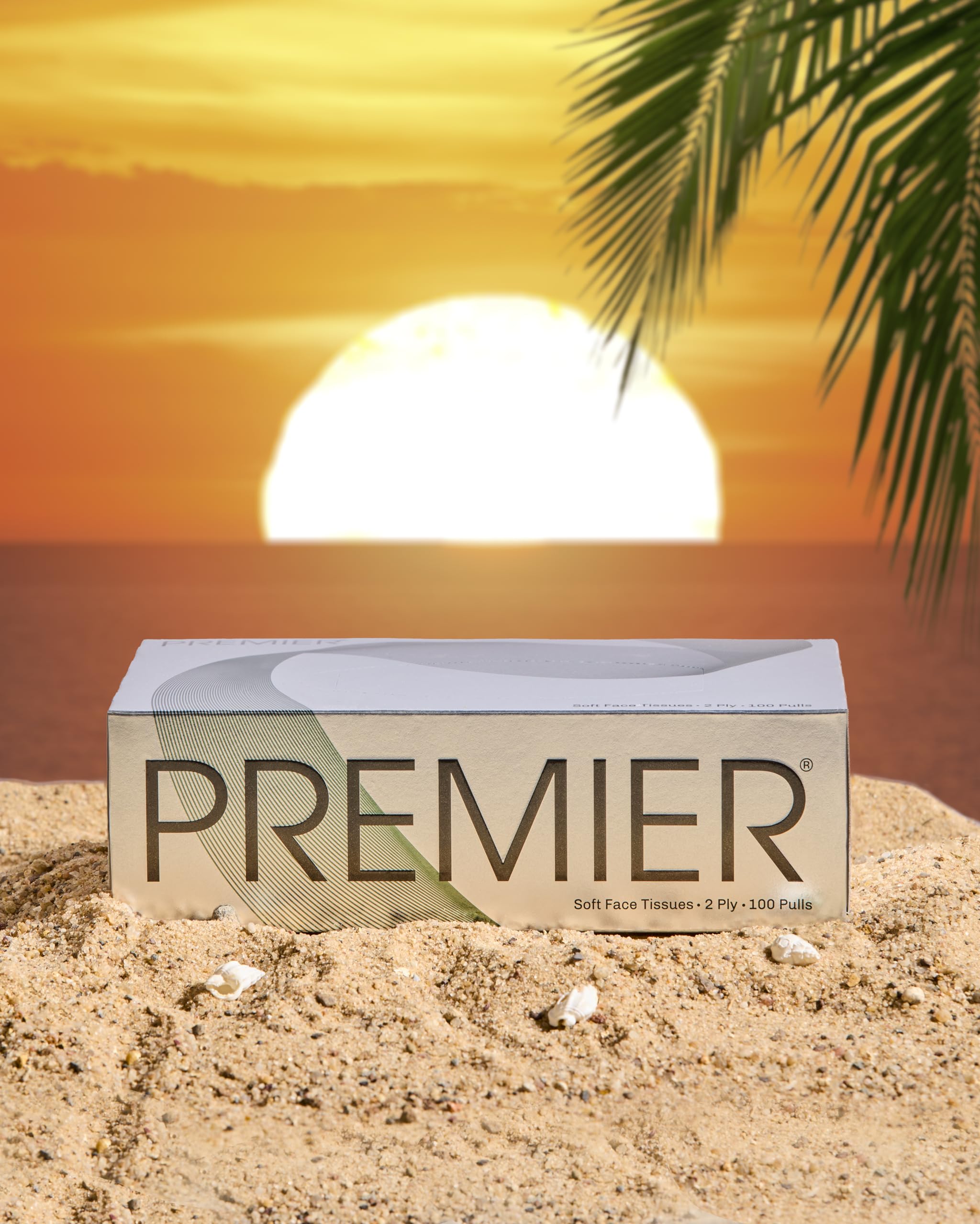 Premium 2-Ply Facial Tissues Box - 100 Pulls per Box (4-Pack, 400 Pulls Total) | Soft & Strong for Home, Office & Travel Use | Gentle on Skin | Bulk Tissue Paper Supply