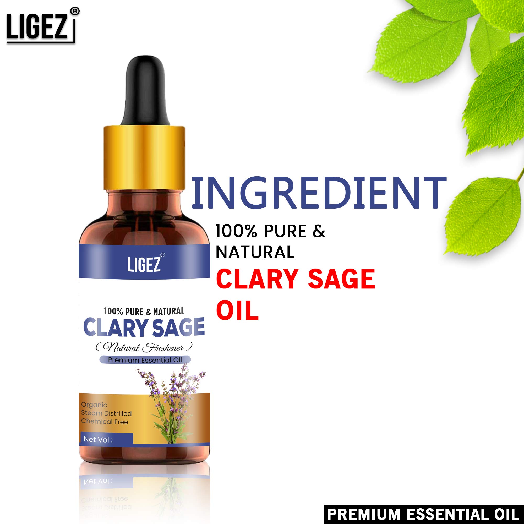 100% Pure Clary Sage Essential Oil - Undiluted Natural Aromatherapy Oil for Skin Care, Hair Growth & Relaxation (30ml) - Perfect for Massage, Diffuser & DIY Beauty Recipes