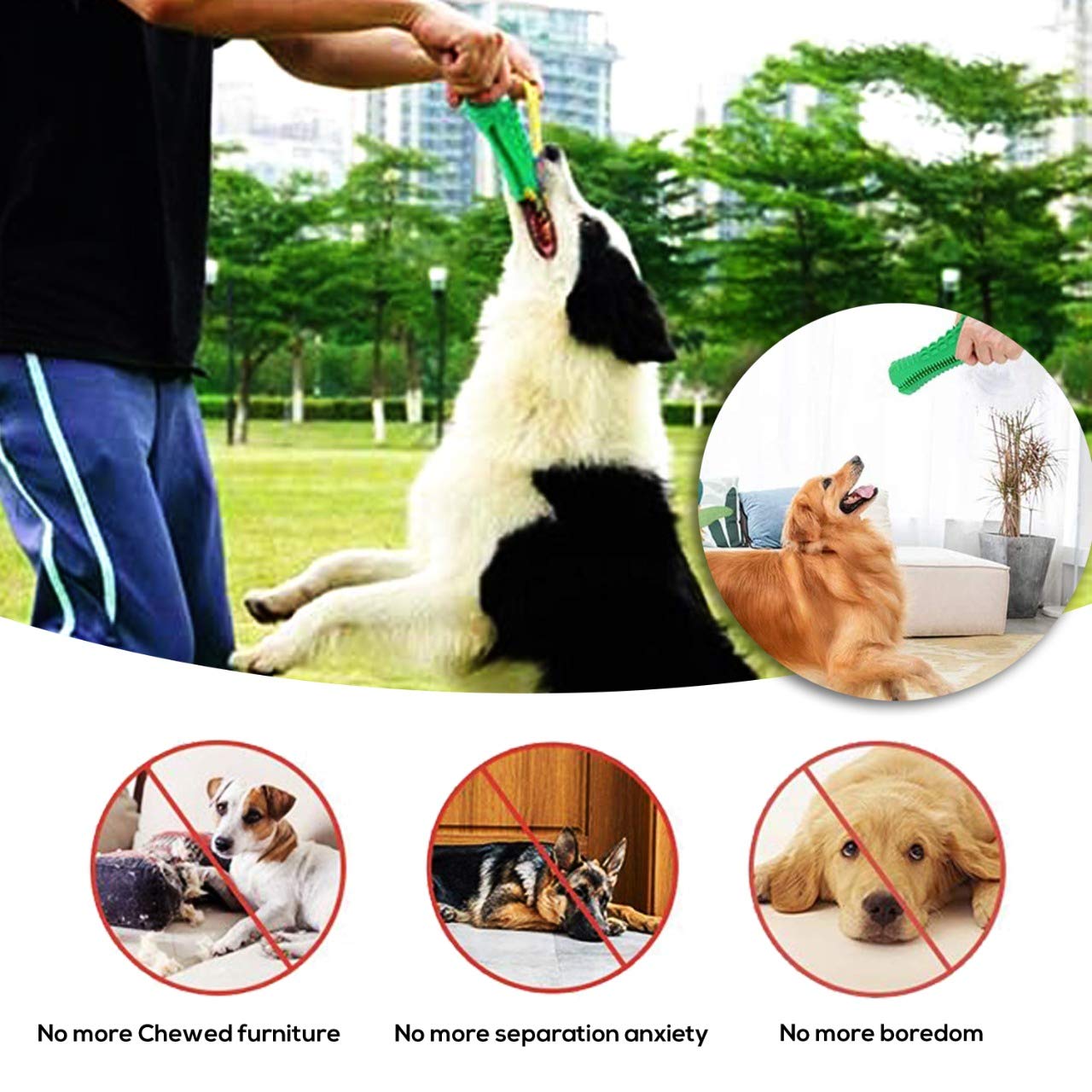 Durable Indestructible Dog Chew Toys for Aggressive Chewers - Alligator Shaped Rubber Chew Toy for Large, Medium & Small Breed Dogs - Teeth Cleaning & Squeaky Sound for Playtime - Perfect for Puppy Teething, Training & Interactive Play