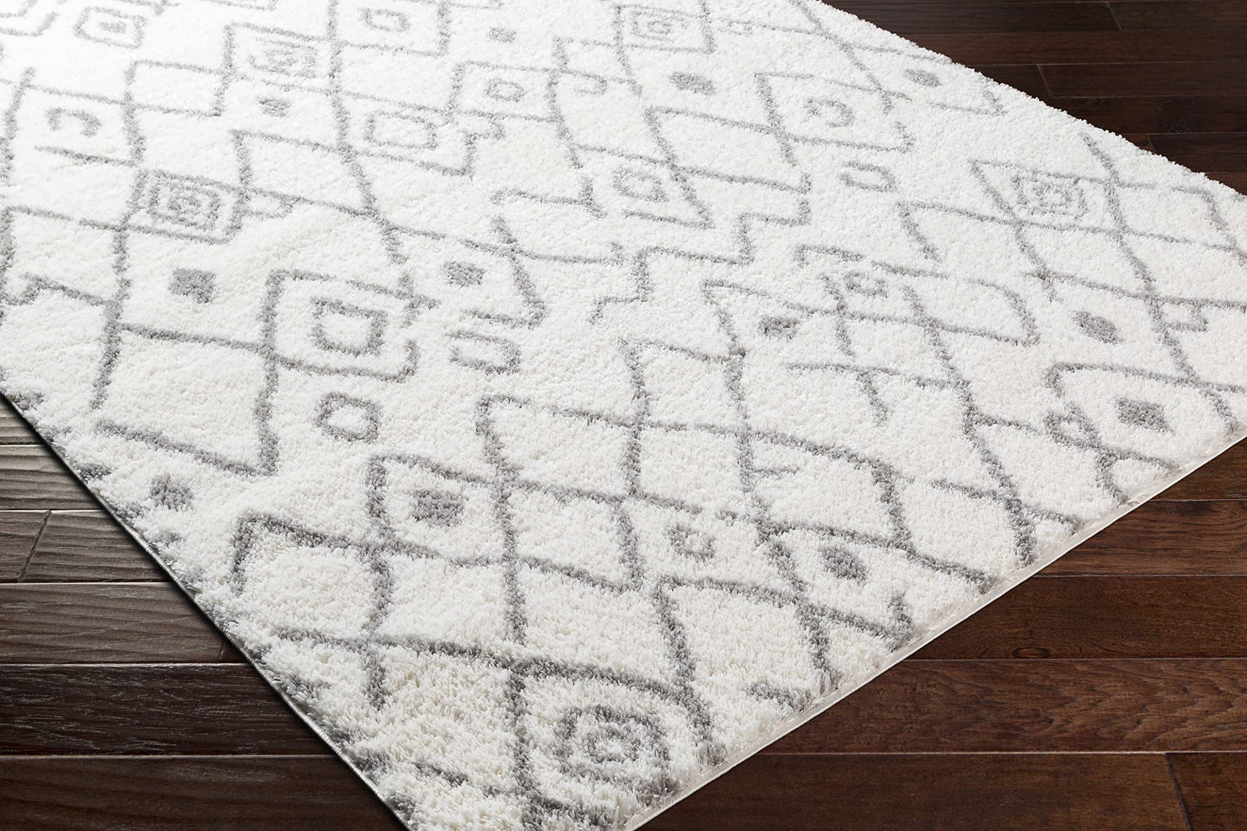 Bohemian Transitional Plush Pile Area Rug 5'3