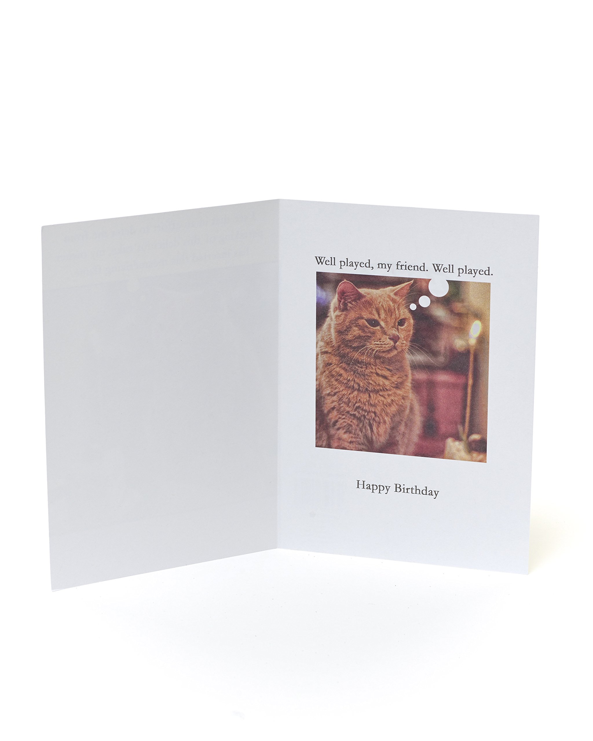 Funny Cat Birthday Cake Greeting Card - Perfect for Cat Lovers, Birthday Wishes & Humorous Celebrations