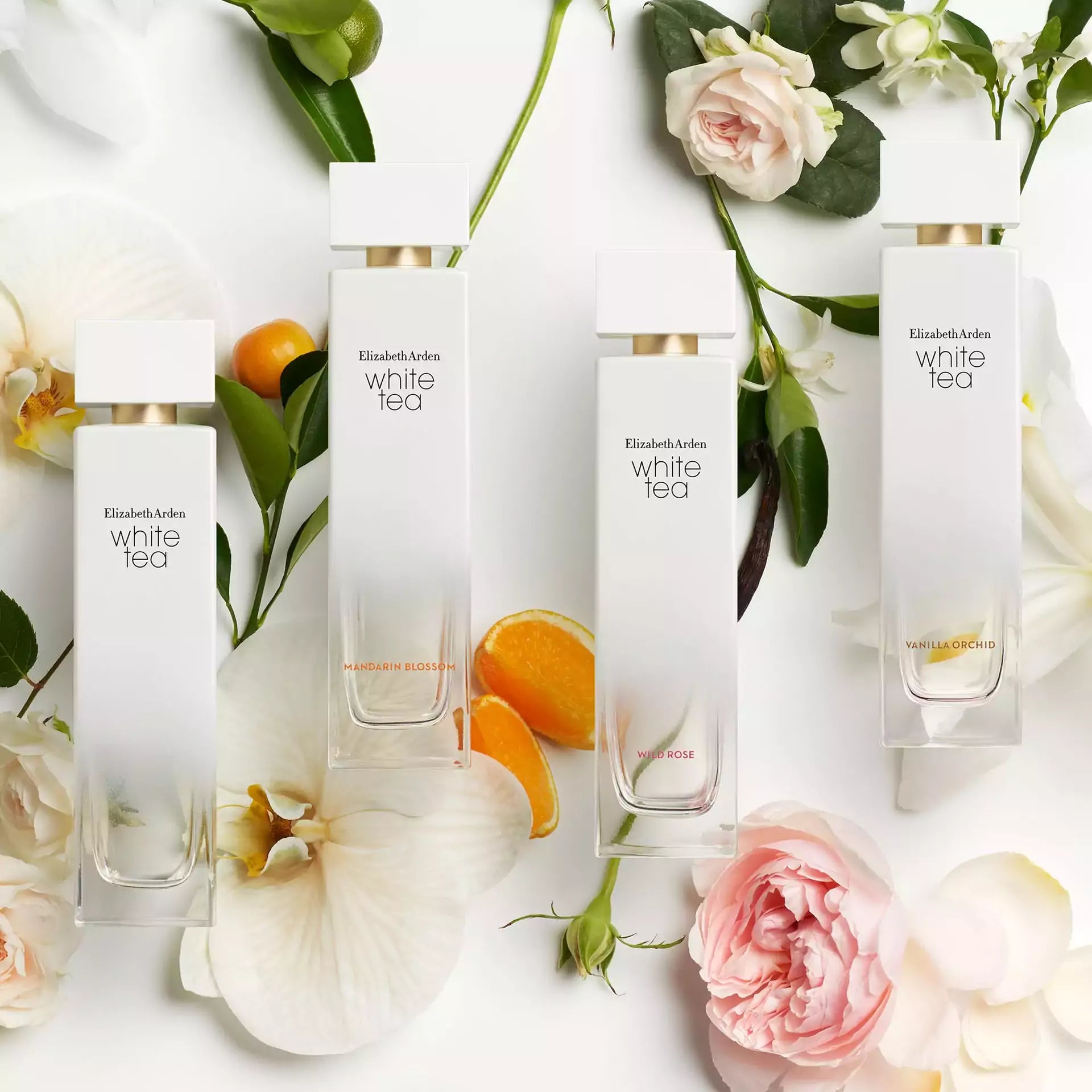 White Tea Eau de Toilette Spray for Women - Fresh Floral Fragrance Long Lasting Perfume | Perfect for Daily Wear, Office & Date Night