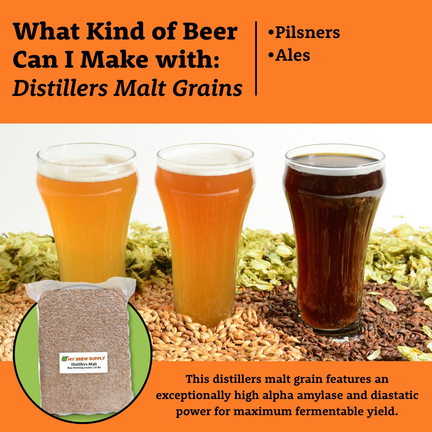 Premium 2-Row Malt Beer Making Grain for Homebrewing – Brew Delicious Beers, Pilsners & Ales | USA-Grown Crushed Grain (10lb/2.4L) | Perfect for Craft Brewing, Home Brew Kits & Beer Enthusiasts