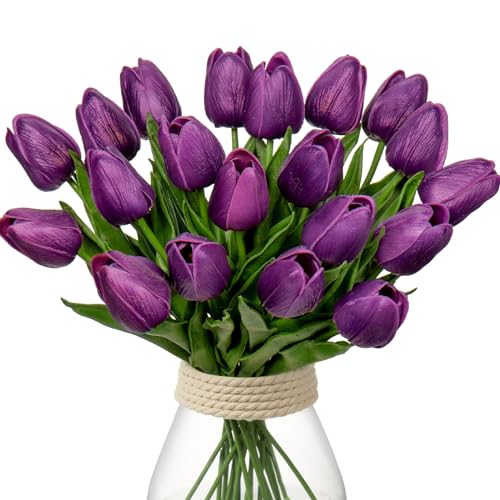 Purple #20