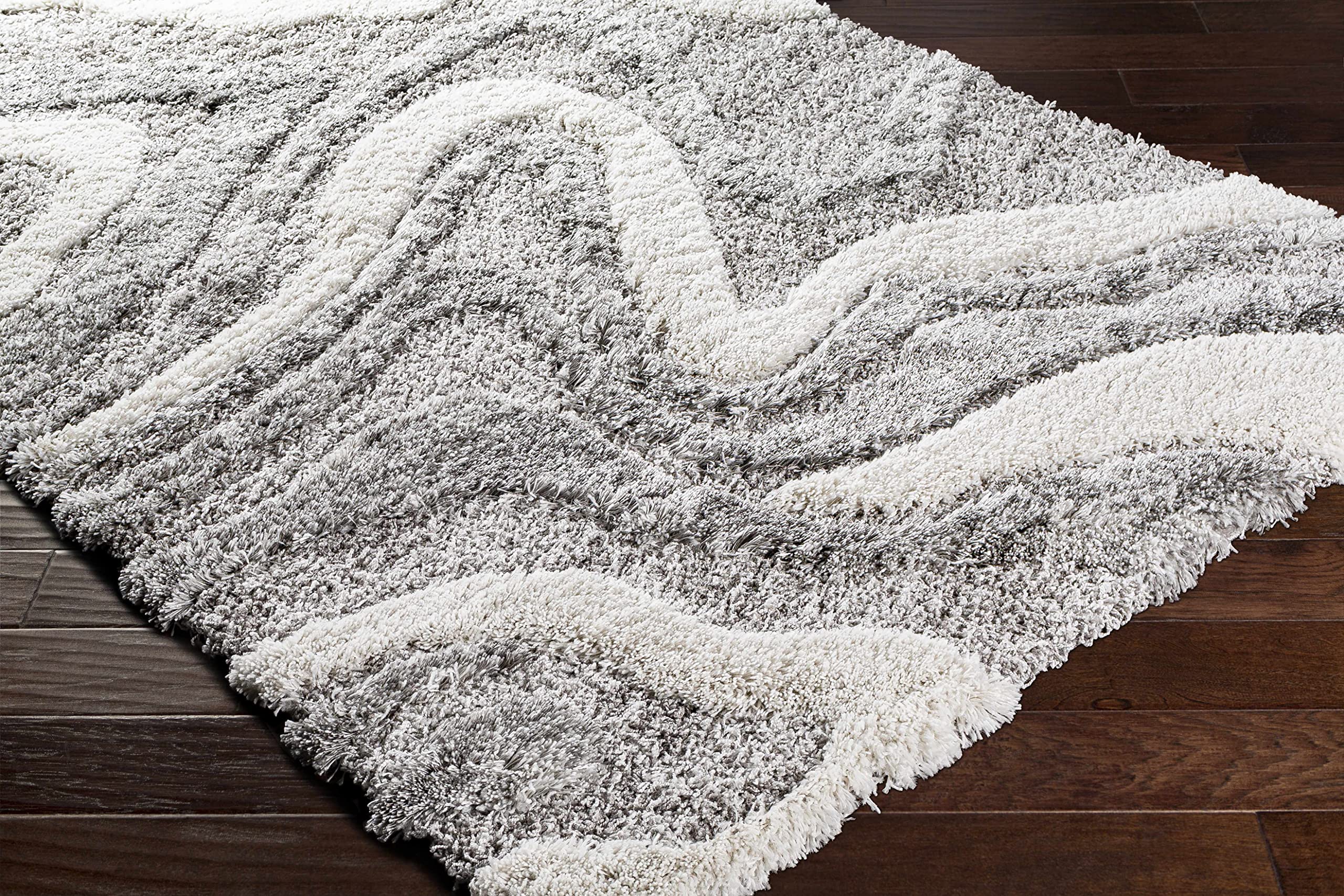 Hauteloom Asfordby Modern Plush Pile Area Rug 2' x 3' Gray - Soft Living Room & Bedroom Carpet for Cozy Home Decor