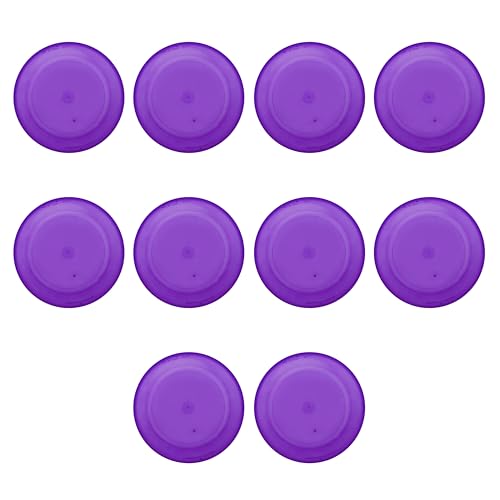 Blank -Translucent Purple