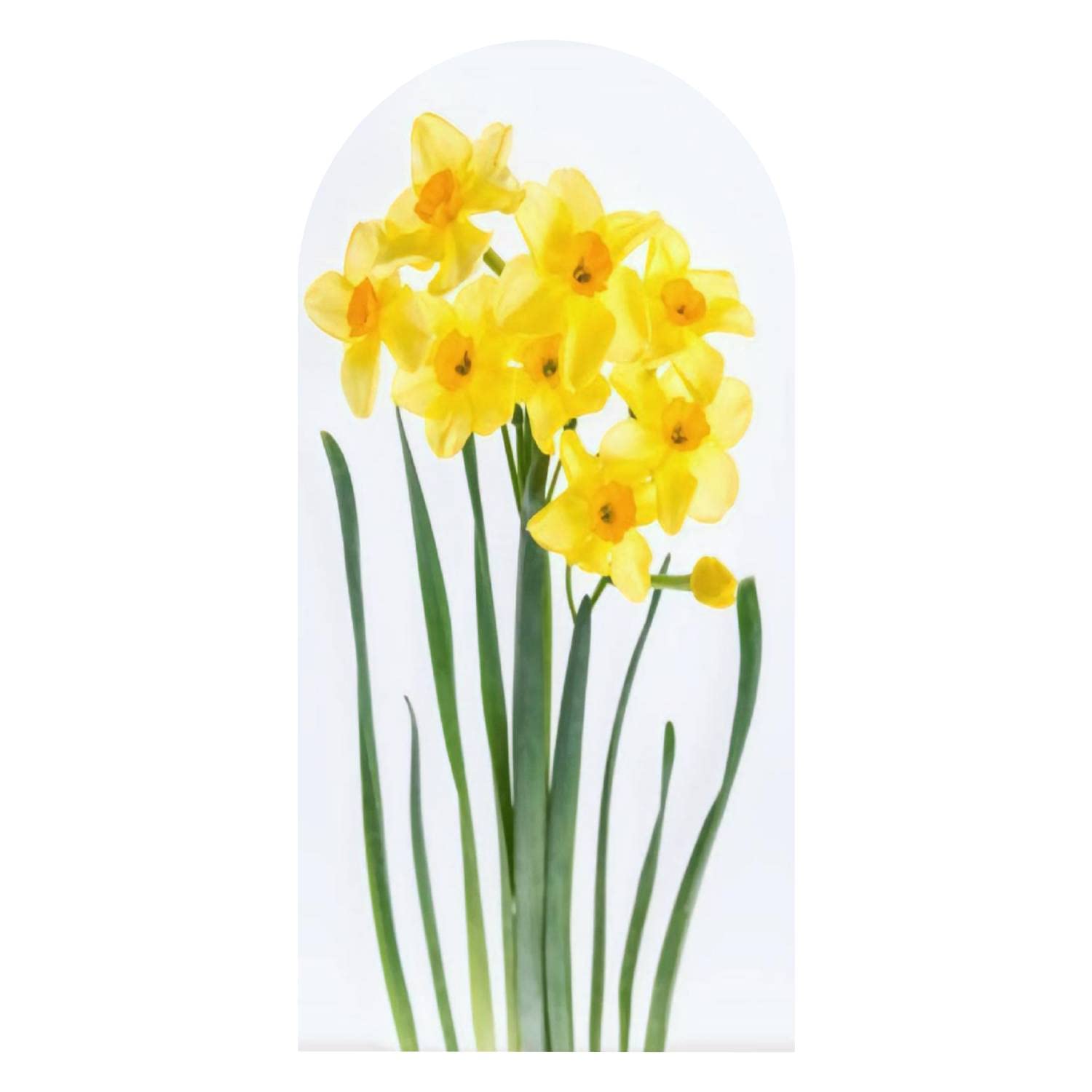 Boho Floral Arch Wall Decal - Removable Peel & Stick Wallpaper with Daffodil Bouquet Design, 72x35 Inch - Perfect for Living Room, Bedroom, Nursery Decor | Self-Adhesive Wall Sticker for Home & Office Interior Design