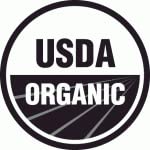 Organic Stinging Nettle Plant (Urtica dioica) - Live Medicinal Herb in 2.5