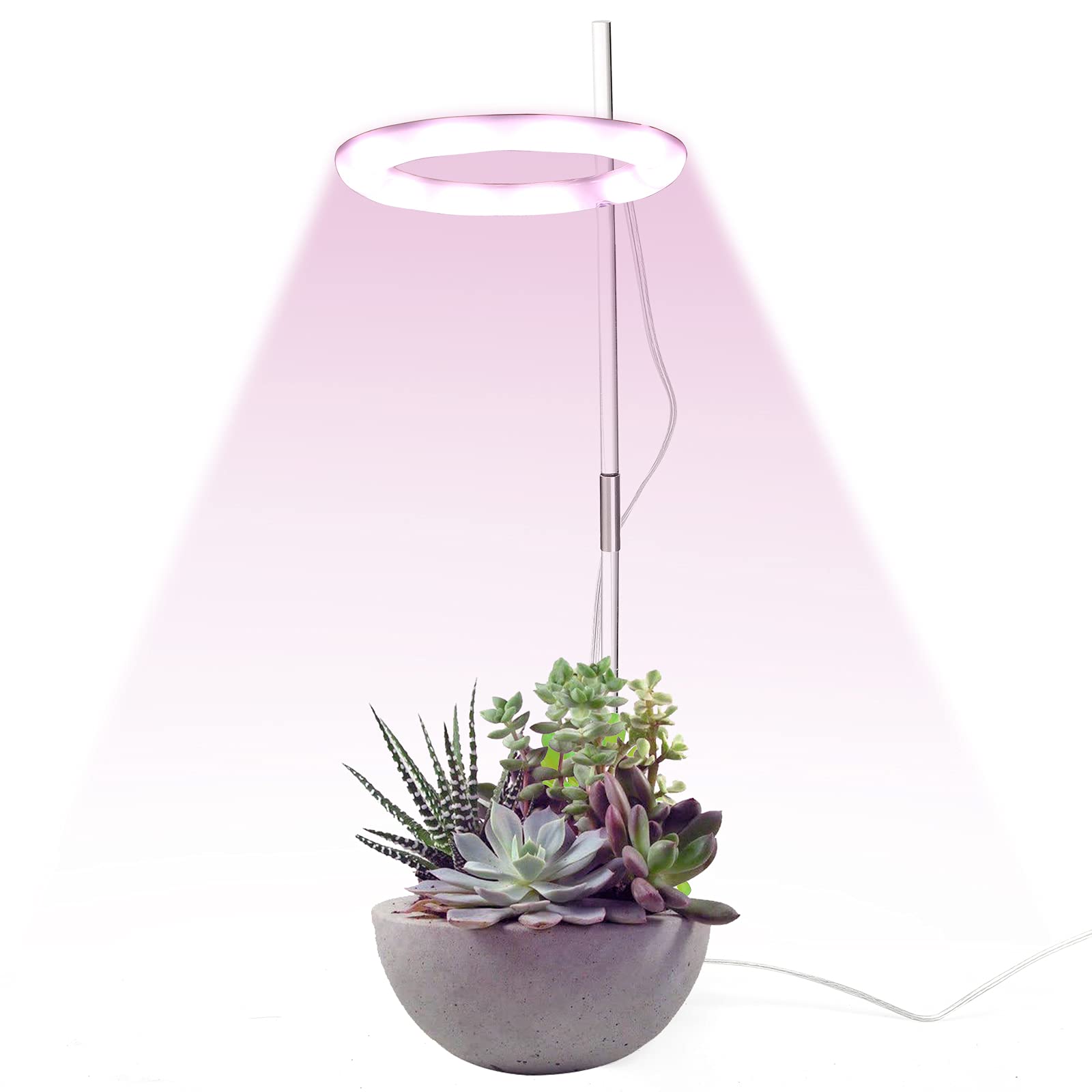 SAHLA 2 Pack Full Spectrum LED Grow Lights for Indoor Plants - Adjustable Height Small Desk Plant Light with Acrylic Stand for Succulents, Potted Plants - Perfect for Home Garden, Office, and Hydroponics System
