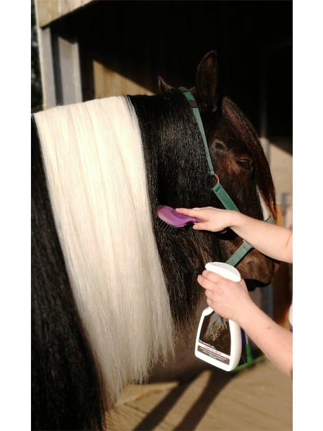Smart Grooming Brush for Dogs & Cats - Tame The Mane Pet Hair Detangler - Perfect for Daily Grooming & Shedding Control at Home