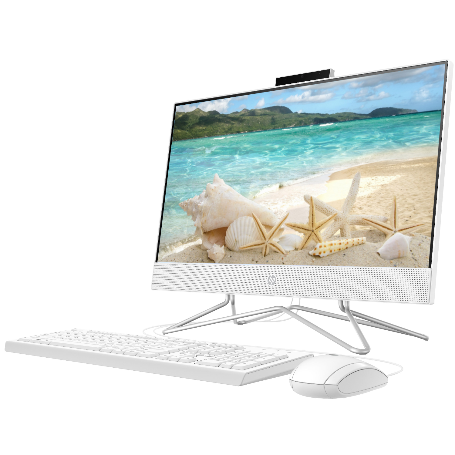 HP All-in-One Desktop Computer 21.5