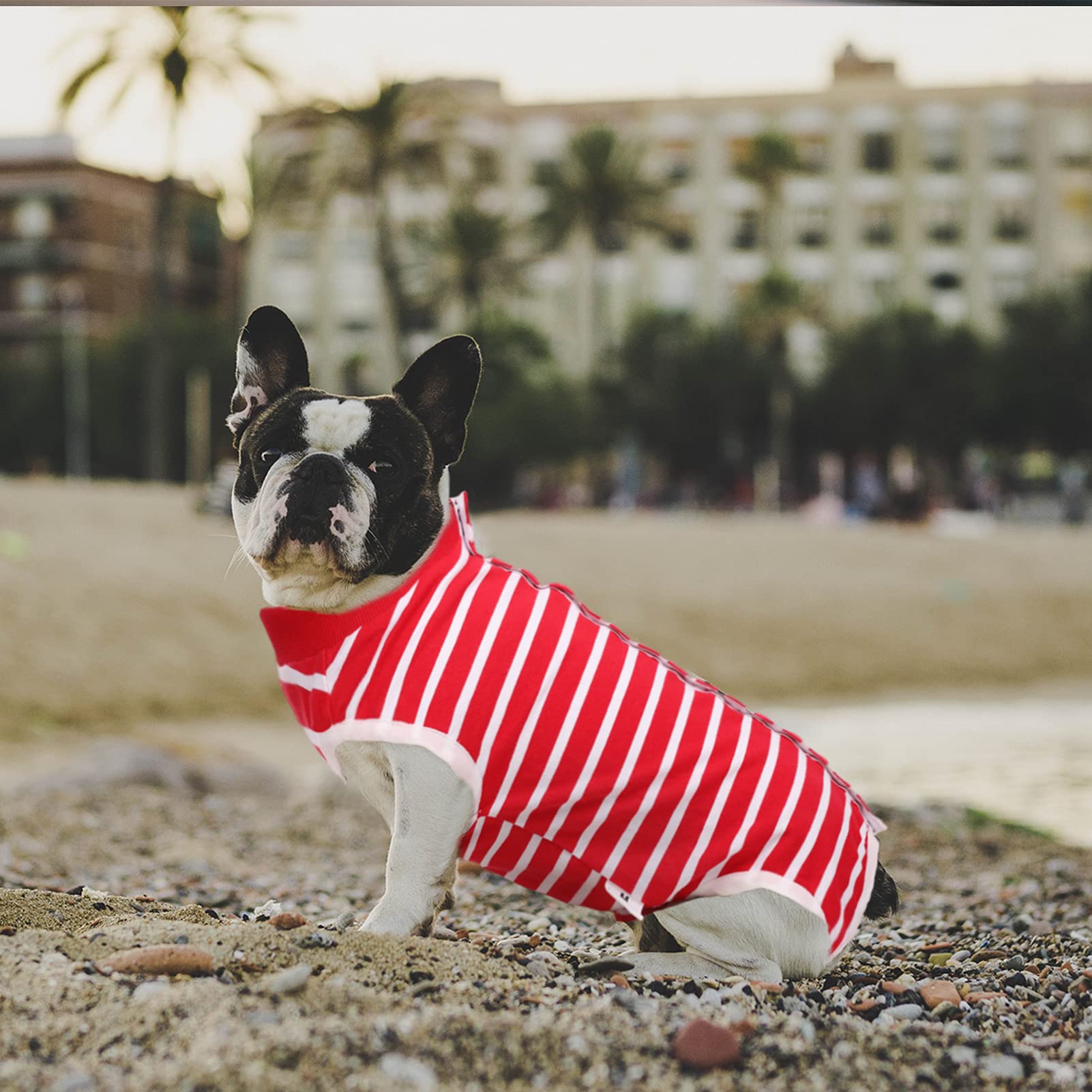 SAWMONG Dog Recovery Suit for Post-Surgery Care - Soft Spay Surgical Suit for Female & Male Dogs - Alternative to E-Collar Cone - Red X-Small - Perfect for Wound Protection & Comfort After Neutering or C-Section