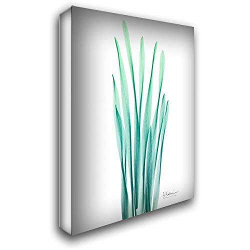 Albert Koetsier Radiant Bamboo Leaf 27x40 Large Gallery Wrapped Canvas Art - Perfect for Living Room, Bedroom & Office Wall Decor