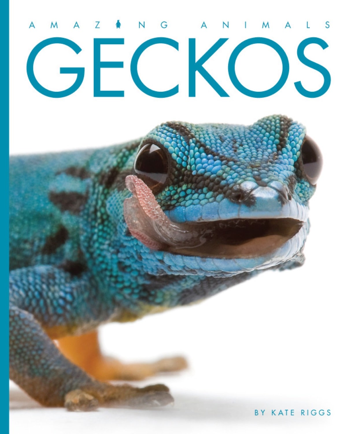 Amazing Animals (2014): Geckos - Educational Documentary DVD for Kids & Nature Lovers | Perfect for Homeschooling, Classroom Learning & Family Movie Nights