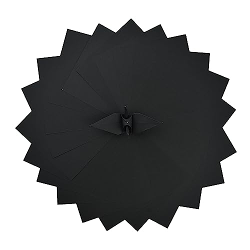 S11 Black