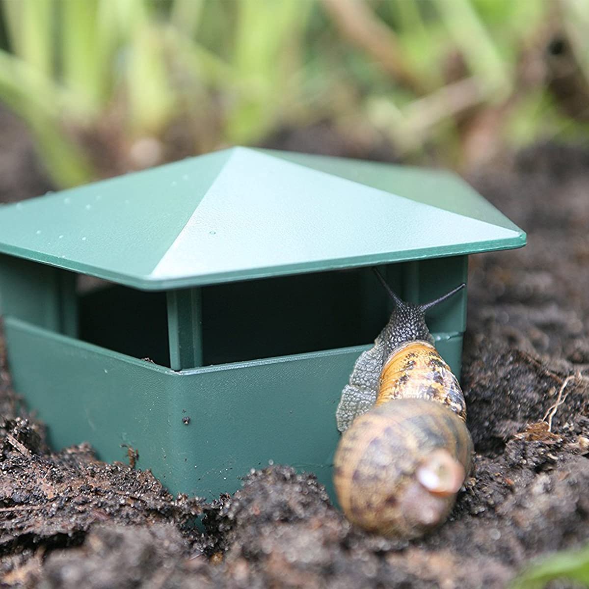 5-Piece Slug & Snail Cage for Garden - Durable Pest Control Tool with Free Gardening Gloves (Claw Design) - Perfect for Organic Vegetable Beds, Flower Gardens & Outdoor Plant Protection