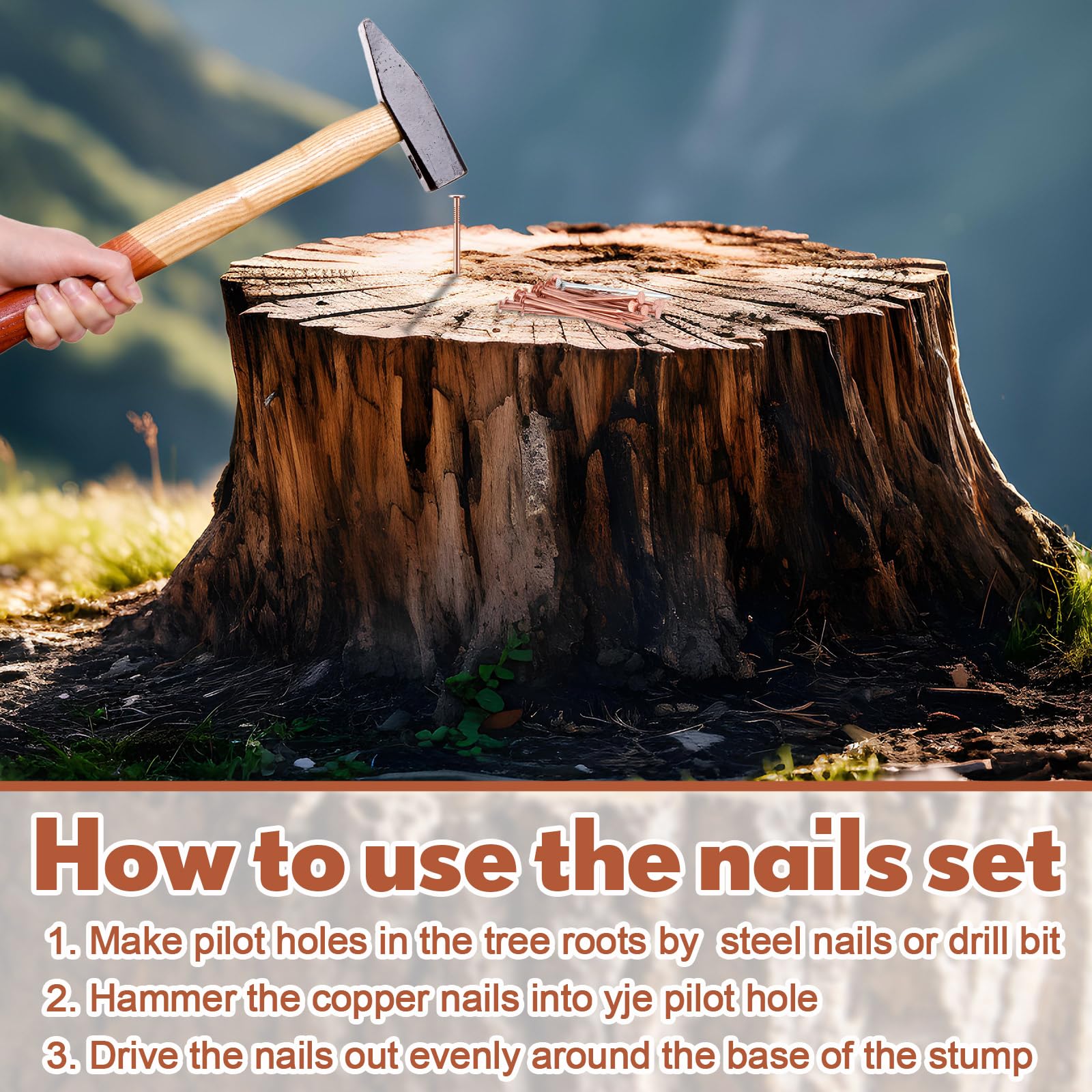 Gisafai 29 Pcs Tree Stump Killer Kit - 24 Copper Nails (4.92 Inch), 2 Steel Nails, 2 Drill Nails & Storage Box - Effective Stump Removal Spikes for Tree Stumps, Landscaping & Yard Maintenance - Perfect for DIY Tree Removal and Garden Care