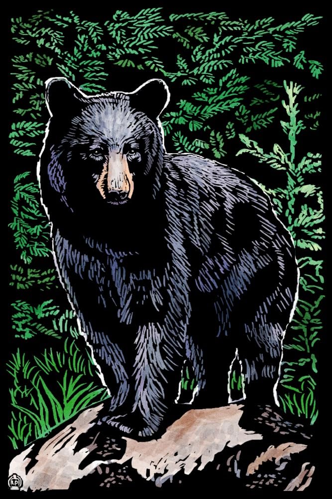 Lantern Press Black Bear Scratchboard Art - 16x24 Wrapped Canvas Wall Decor for Living Room, Bedroom & Office | Nature Wildlife Home Decoration