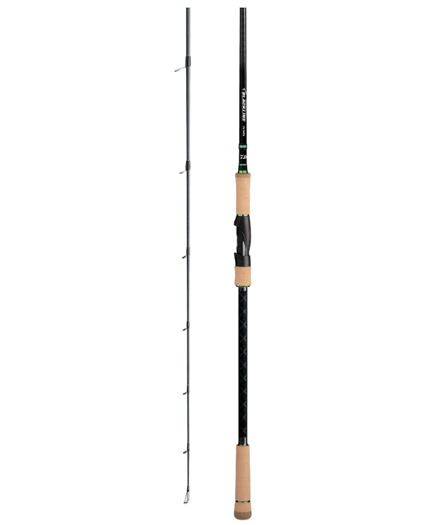 Daiwa Inshore Spinning Fishing Rods - Saltwater & Freshwater Fishing Rod for Surf, Pier, and Kayak Anglers - Lightweight Graphite Construction with High Sensitivity