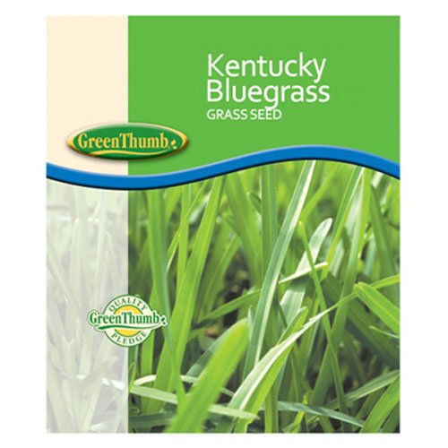 Barenbrug USA 491123 50 lb Pro Bluegrass Seed - Premium Grass Seed for Lawns, Golf Courses & Landscaping - Fast-Growing, Drought-Resistant Turf Solution