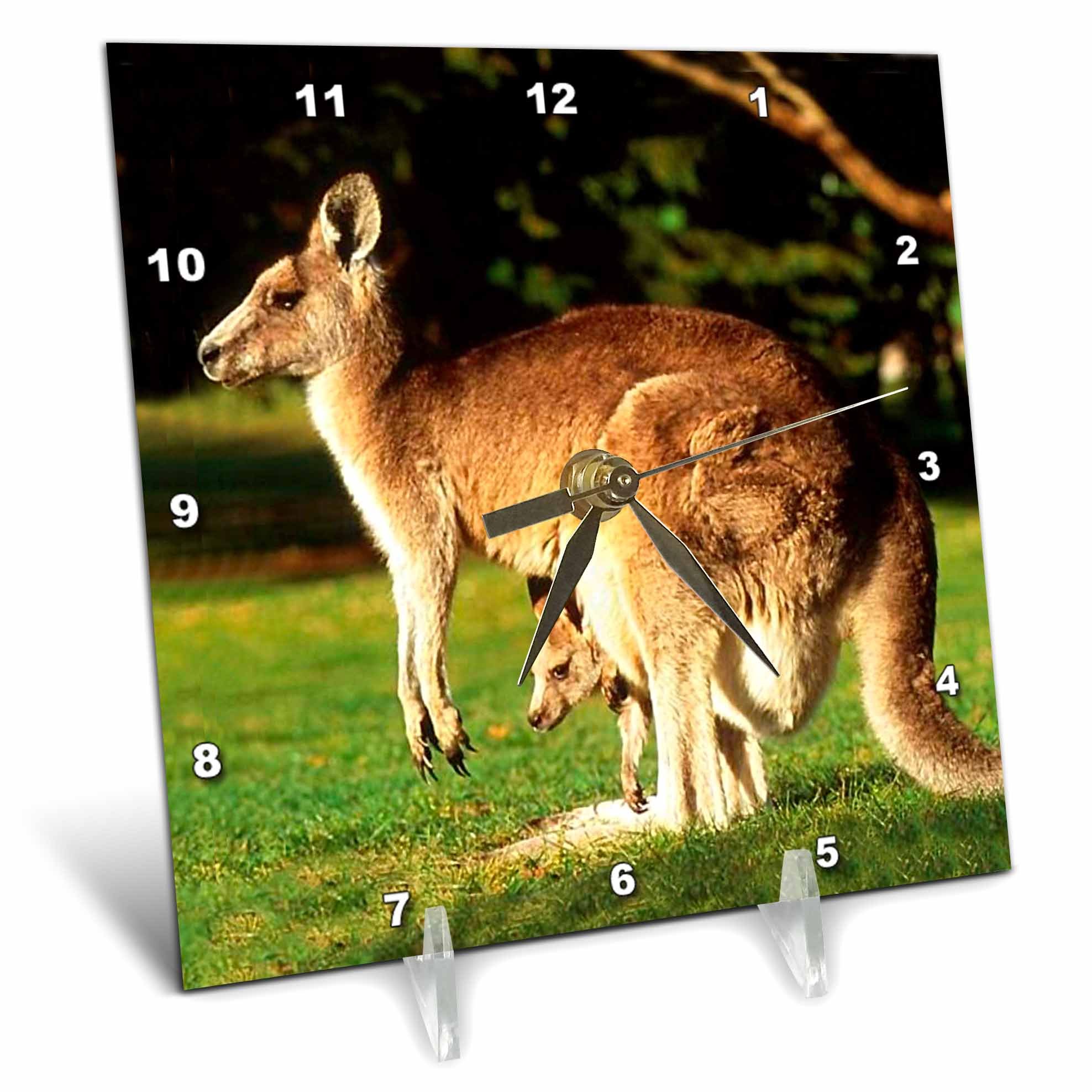 3D Rose LLC Kangaroo Themed Desk Clock - 6x6 Inch Stylish Home & Office Decor for Modern Spaces