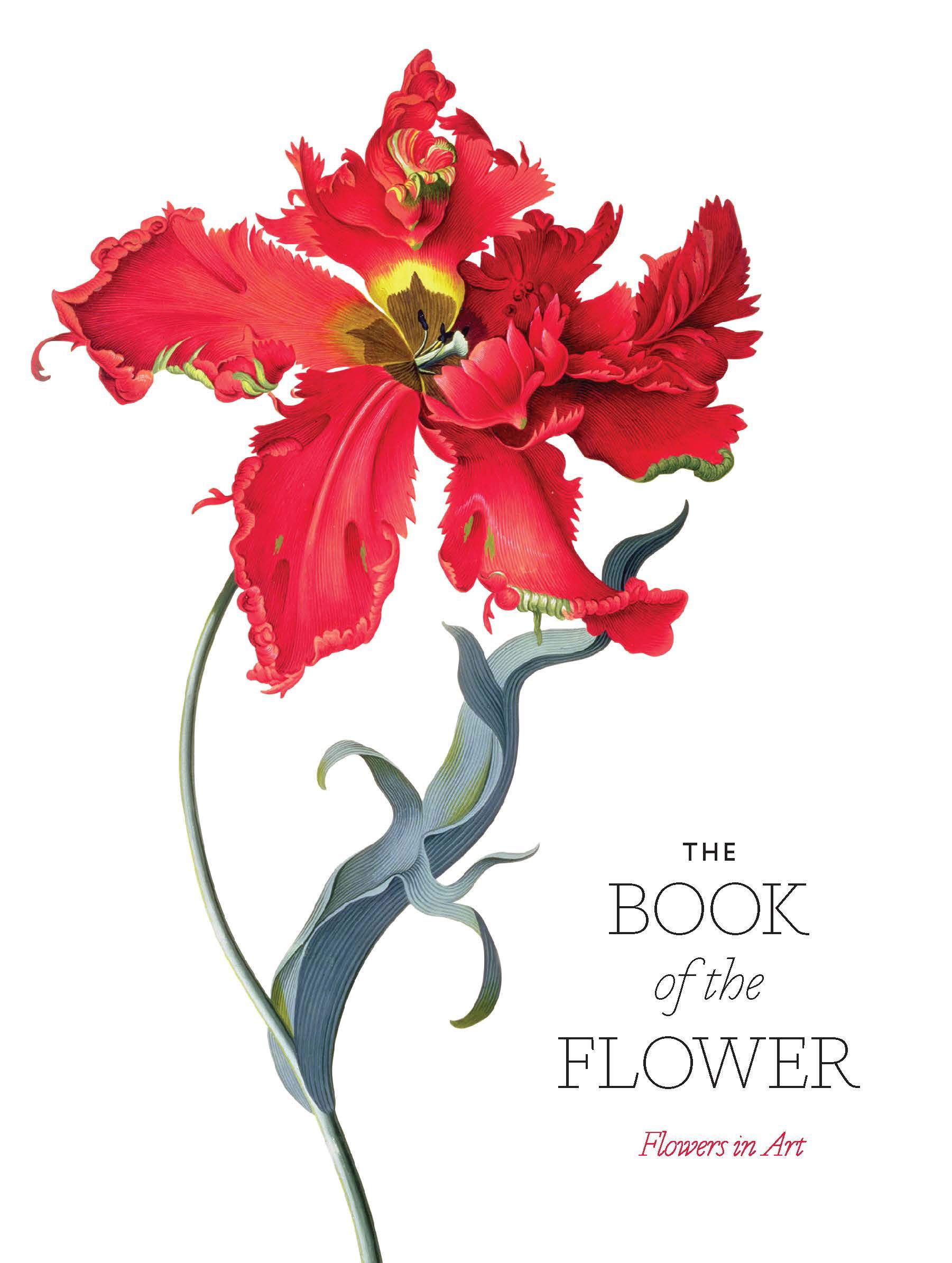The Book of Flowers: Floral Art Masterpieces for Home Decor, Wedding Inspiration & Gift Ideas