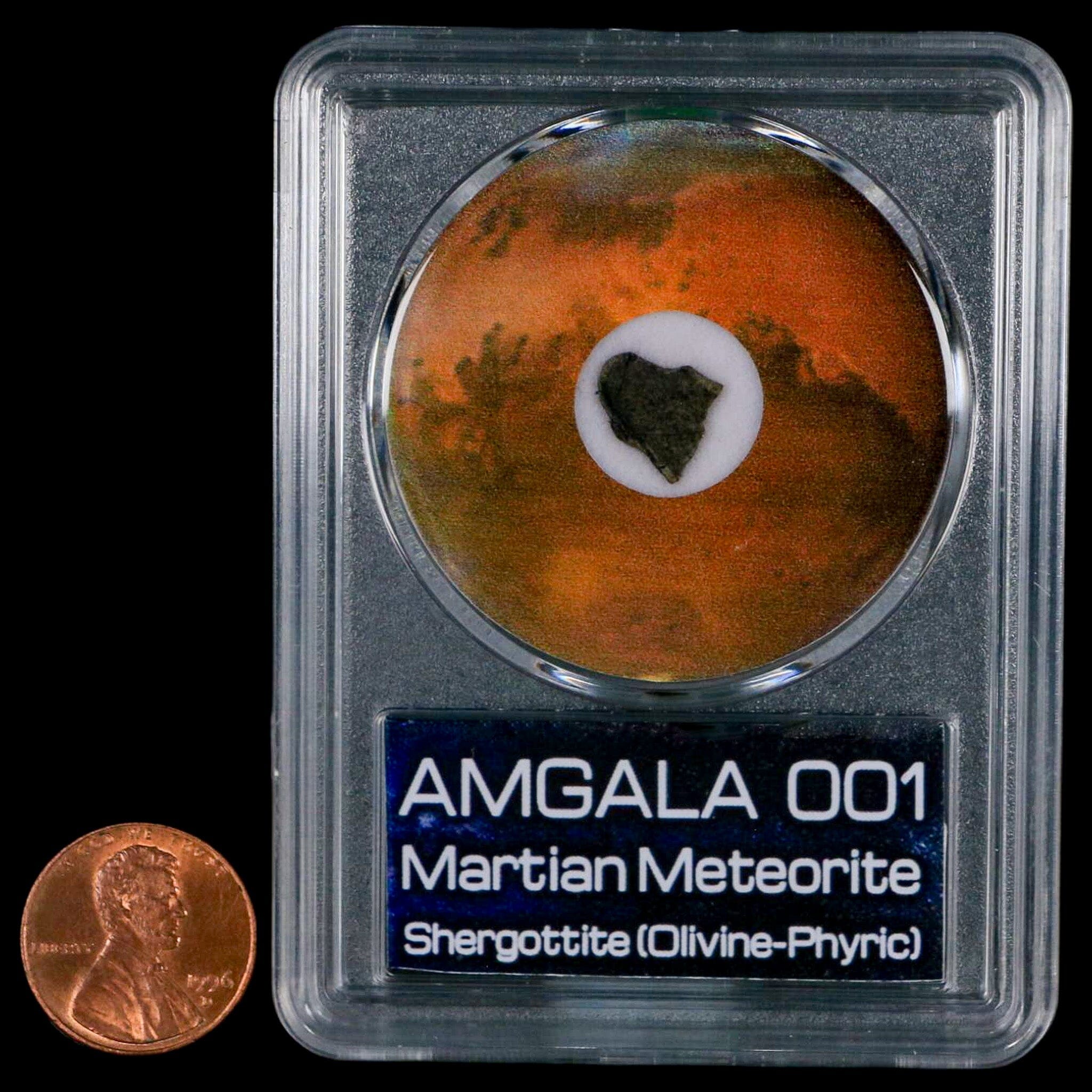 Authentic Mars Rock Meteorite - Amgala 001 Shergottite with Olivine Phyric & COA | Rare Collectible Space Rock for Display, Education & Scientific Study | Perfect for Astronomy Enthusiasts, Museum Collections & Unique Gifts
