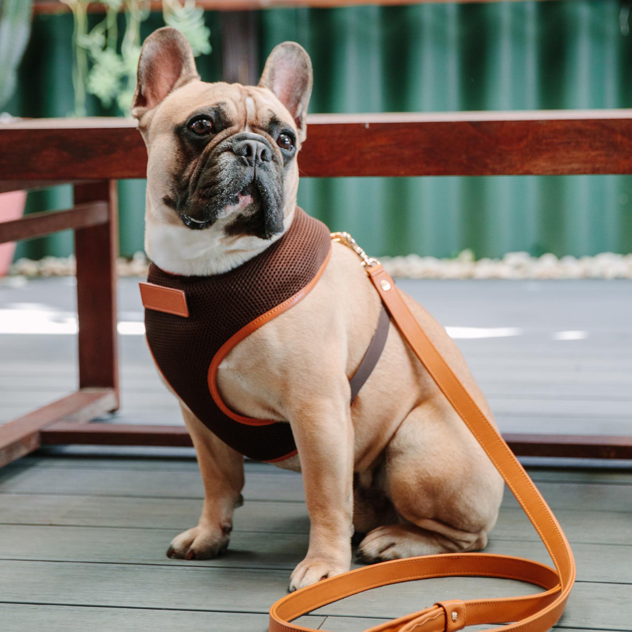 Premium Dark Brown Dog Harness with Tan Trim - Adjustable No-Pull Pet Vest for Small Medium Large Dogs - Perfect for Walking, Hiking & Outdoor Adventures