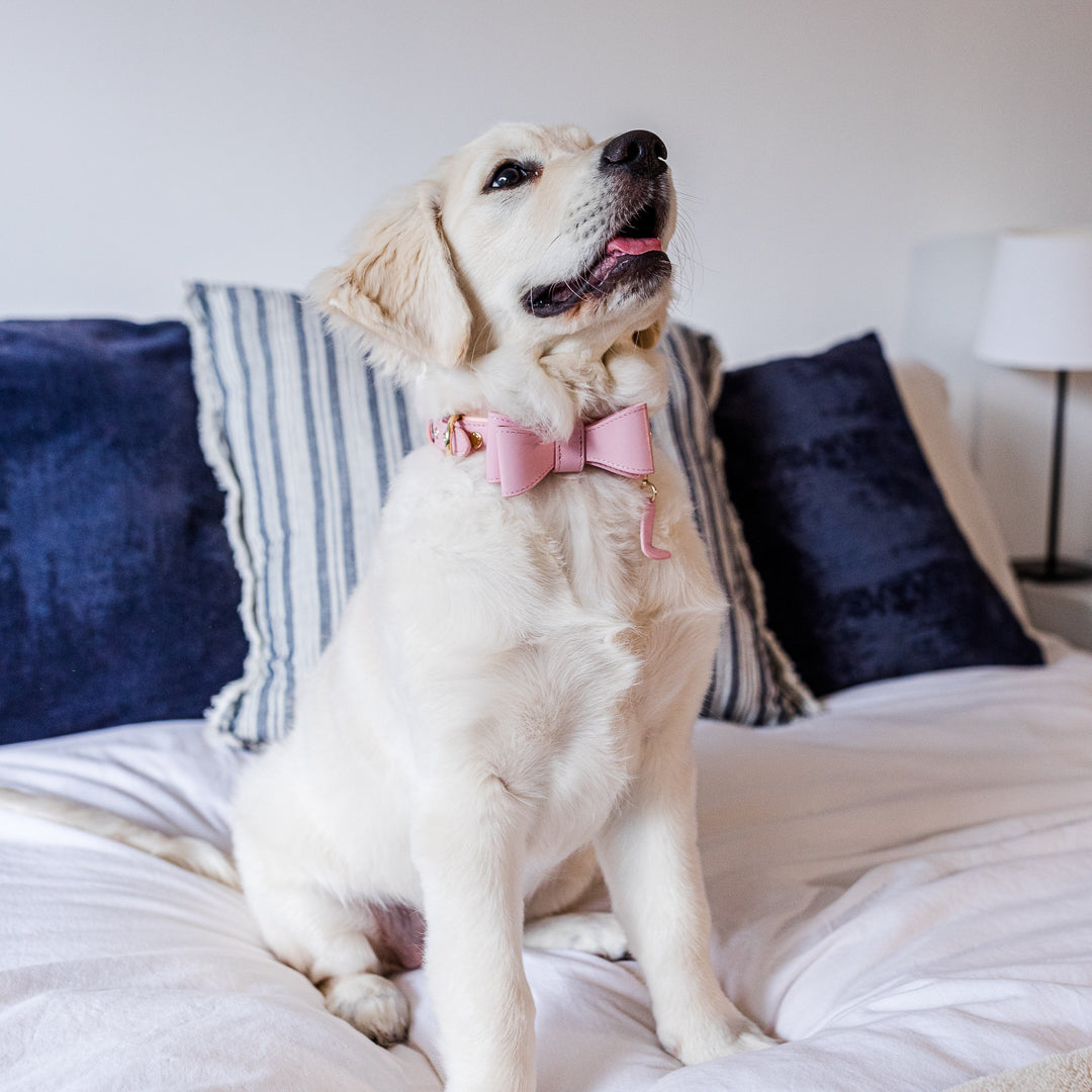 Stylish Pink Leather Dog Bow Tie Collar Accessory for Small Medium Large Dogs - Perfect for Weddings, Parties & Photo Shoots