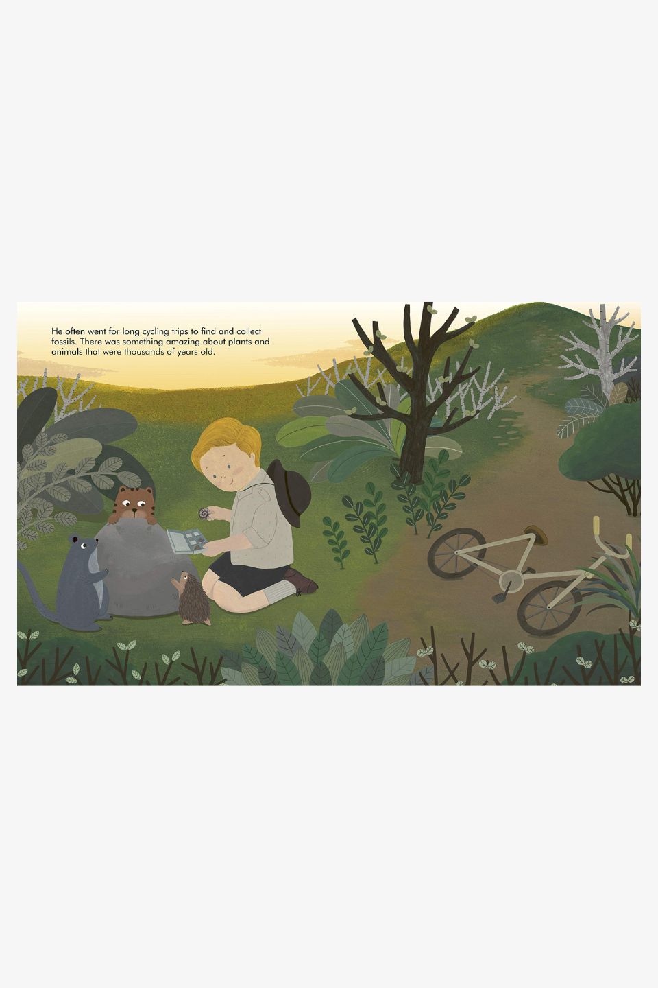 David Attenborough Little People Big Dreams Inspirational Biography Book for Kids - Perfect for Bedtime Stories & Classroom Learning
