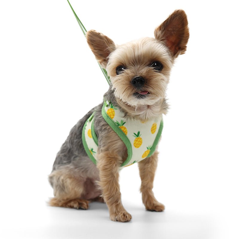 EasyGO Adjustable Pineapple Yellow Dog Harness - Soft & Breathable Pet Vest for Small to Medium Dogs - Perfect for Walking, Running & Outdoor Adventures