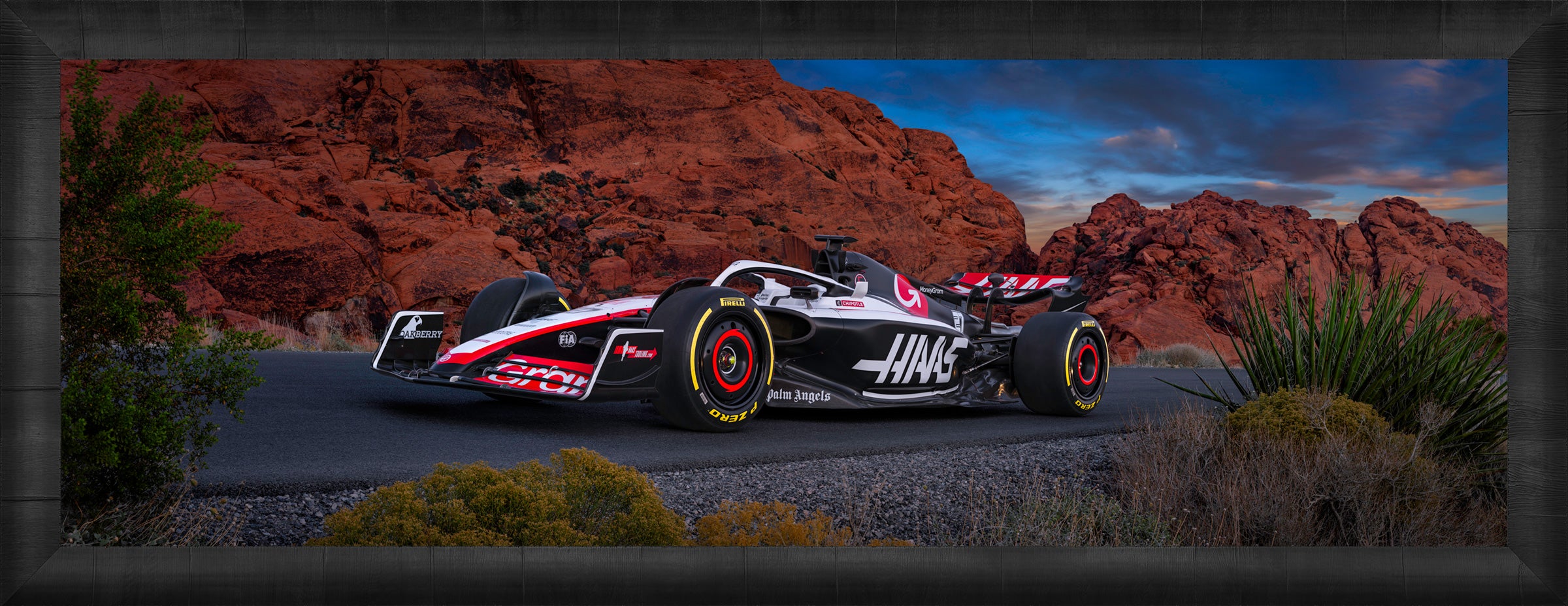 Haas Racing Collection - Premium Canyon Racer Jacket for Men & Women | High-Performance Motorcycle Gear for Racing & Outdoor Adventures