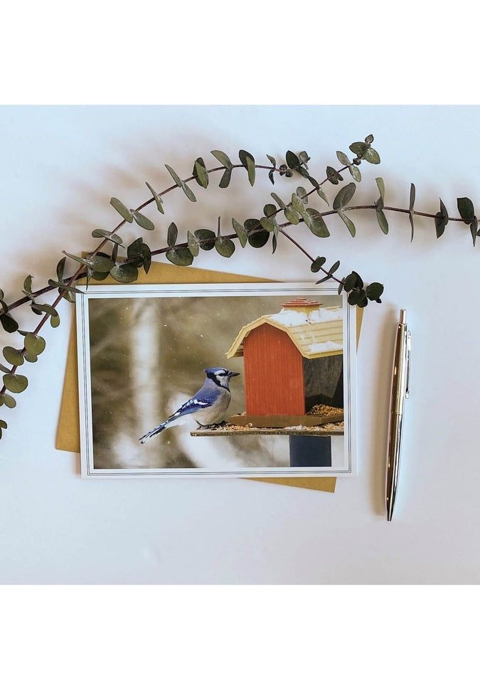 From My Angle Photography Notecards - Beautiful Photo Greeting Cards for Thank You Notes, Invitations & Gifts | Perfect for Weddings, Birthdays & Special Occasions