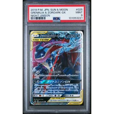 The Legendary Duel: A Tale of Greninja and Zoroark