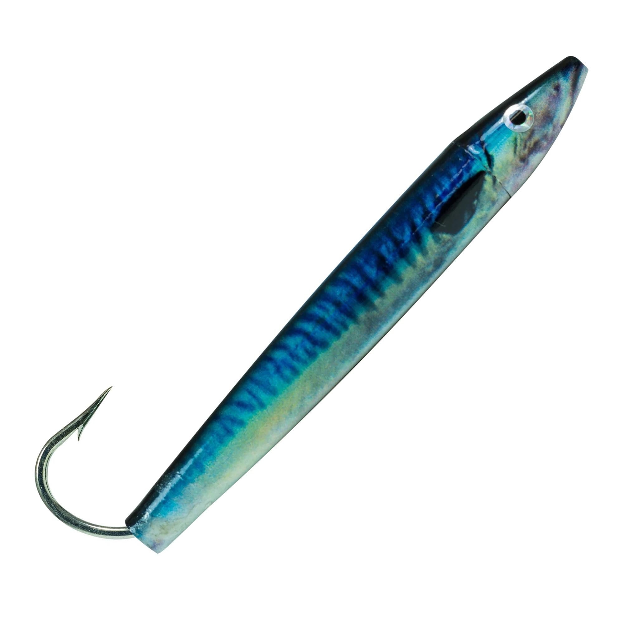 Anchovy
