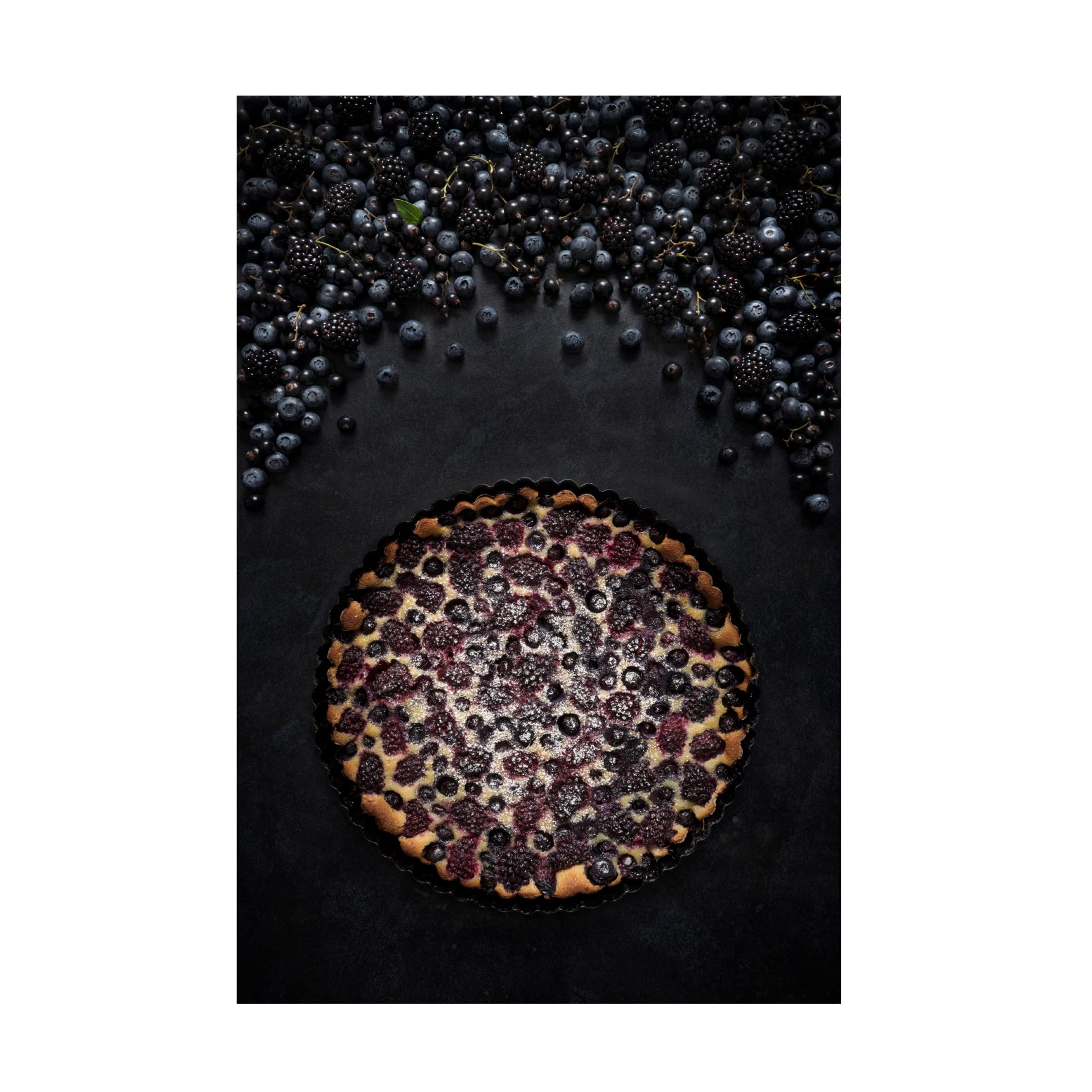 Trademark Fine Art 'Berries' Canvas Wall Art by Diana Popescu - Handmade Floral Painting for Living Room, Bedroom & Office Decor