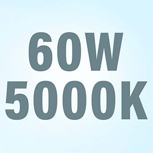 60w-daylight
