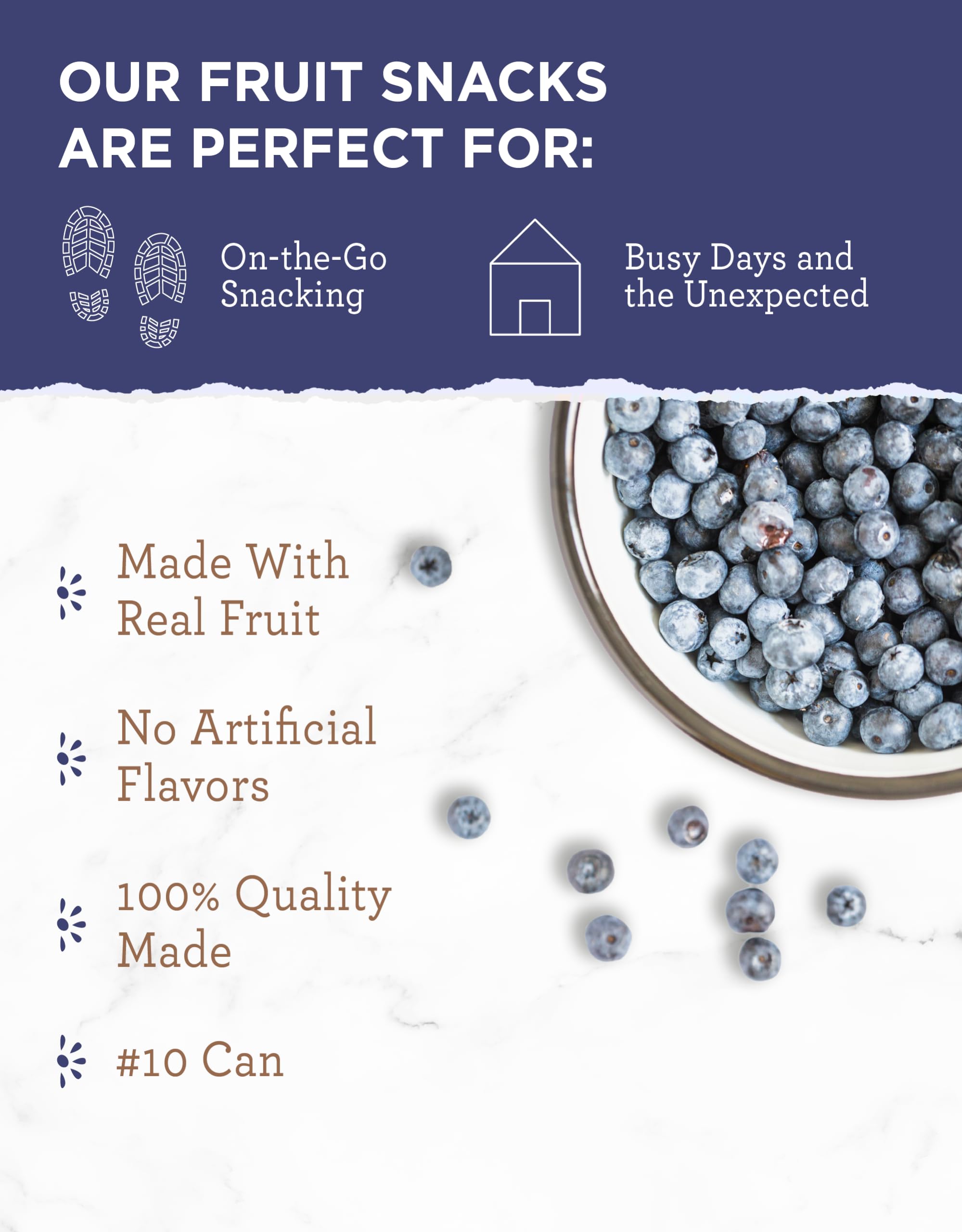 READYWISE Freeze Dried Whole Blueberries - 28 Servings, Vegan, Gluten Free, Non-GMO, Healthy Fruit Snacks for Hiking, Camping & Emergency Food Storage