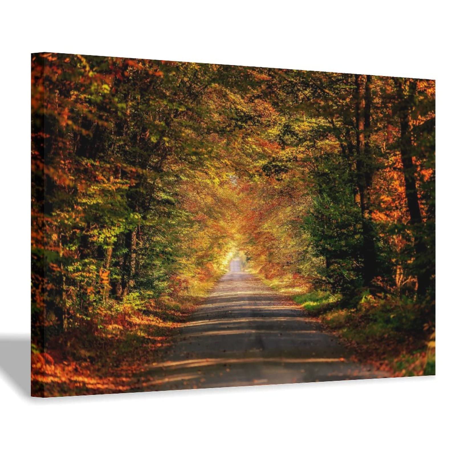 DOOPO Natural Scenery Forest Path Wall Art - Canvas Painting & Prints for Living Room Decor - Perfect for Home, Office, and Bedroom Wall Decoration