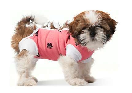 VetMedWear Recovery Gown for Cats, Dogs & Rabbits - Soft Post-Surgery Protective Suit | Comfortable E Collar Alternative for Wound Healing, Spay/Neuter Recovery & Pet Care at Home
