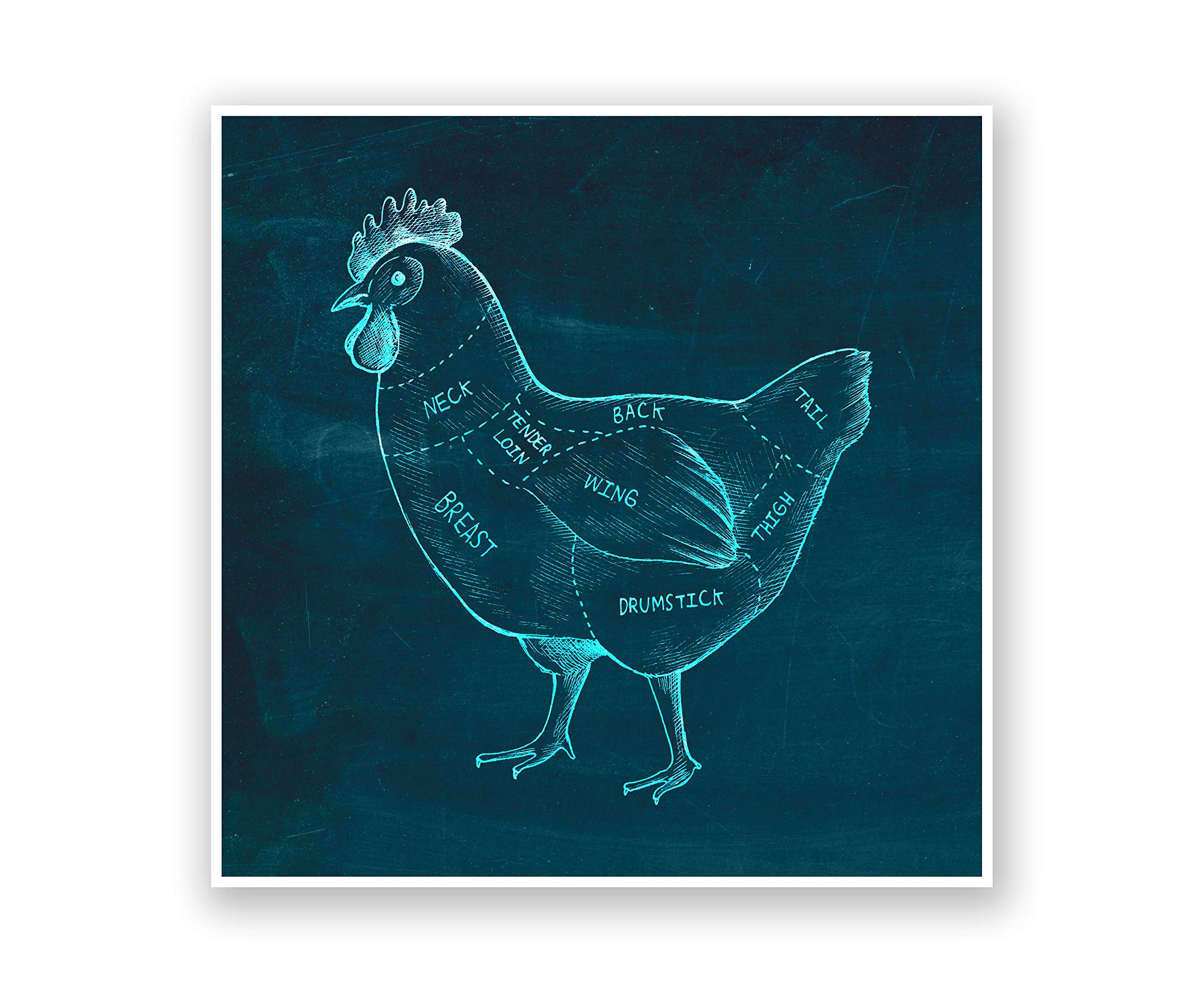 Chicken Butcher Diagram Blue Print Poster - Easy to Hang Wall Art for Kitchen Decor | Perfect Gift for Chefs, Butchers & Culinary Enthusiasts | Ideal for Restaurants, Cooking Classes & Home Kitchens