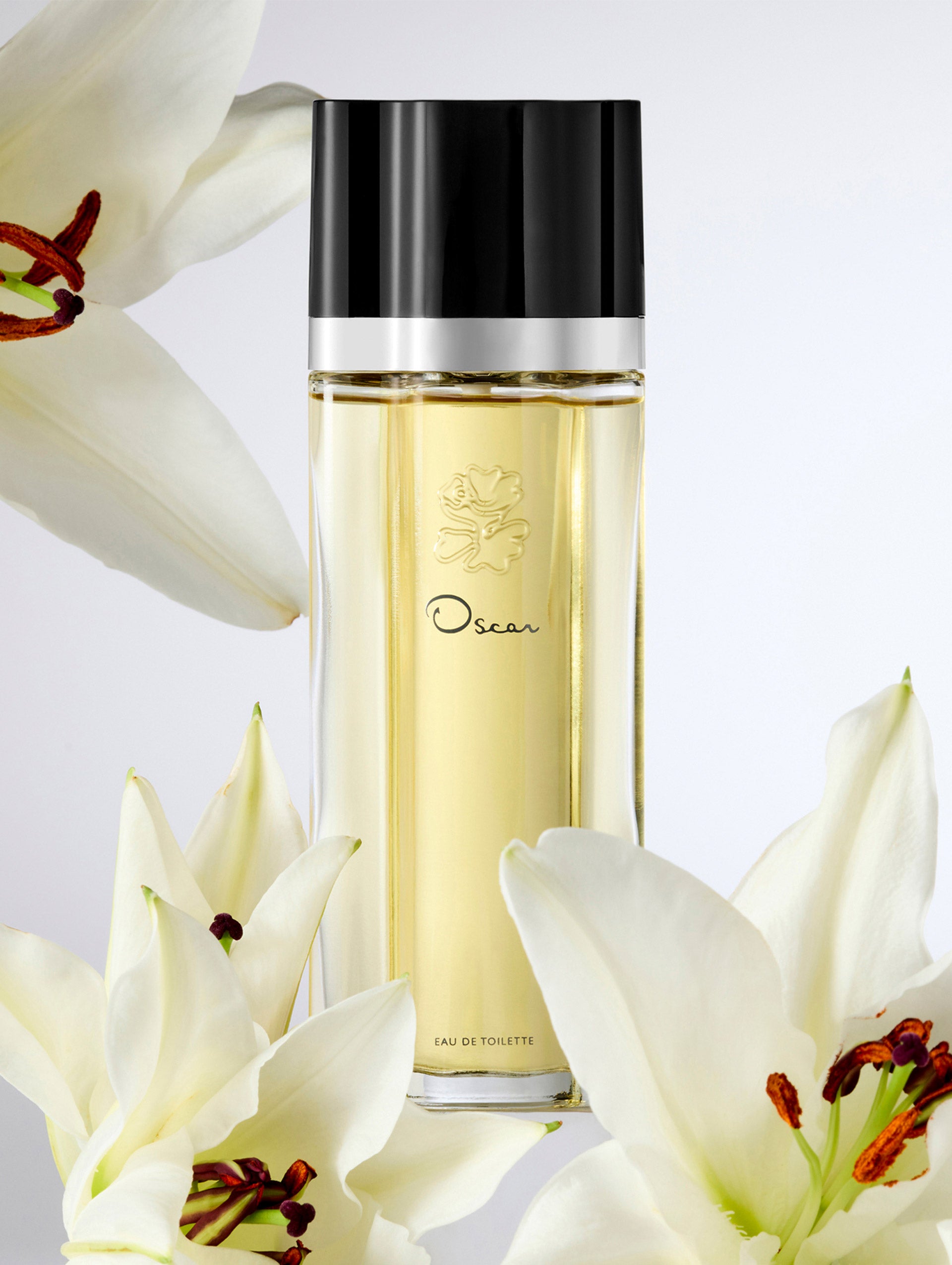 Oscar EDT Perfume for Men - 3.4 Oz / 100ml Eau De Toilette Spray - Fresh & Masculine Cologne for Daily Wear, Office & Date Night