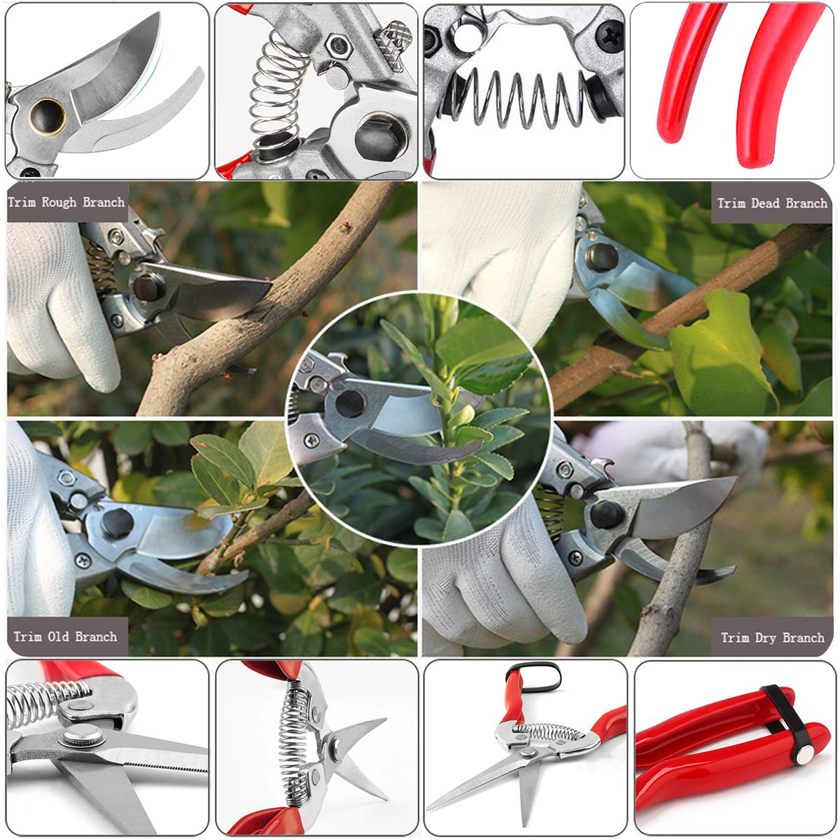 Premium Stainless Steel SK5 Pruning Shears - Straight Tip Garden Shears, Florist Scissors & Hand Pruners for Trimming Plants, Flowers, and Shrubs | Ideal for Gardening, Landscaping, and Floral Arrangements